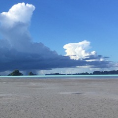Tumuk