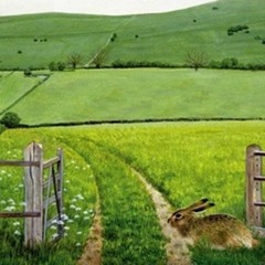 Wildgrass