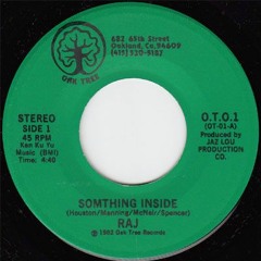 Raj - Something Inside - Boogie Beats Edit