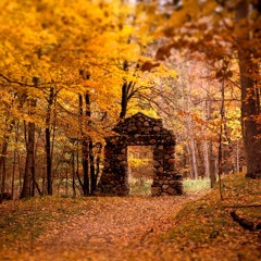 First Fall Mix