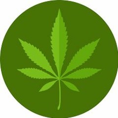 What's The New Mary Jane