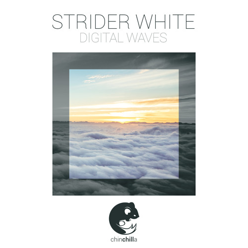 Strider White - Digital Waves