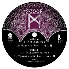 2000F - Mjølner Dub Snippet - Raske Plader