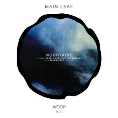 Main Leaf - Mountains - [WD013] - Out Now!