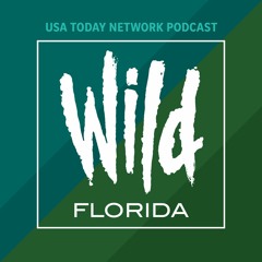 Saving Florida's critters
