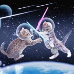 Wild Space Cats