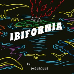 Cassius - Ibifornia (Molécule Remix)