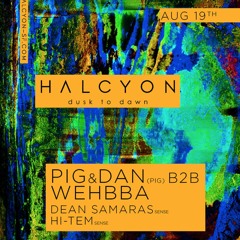 020 Halcyon SF Live - Pig&Dan (Pig) b2b Wehbba