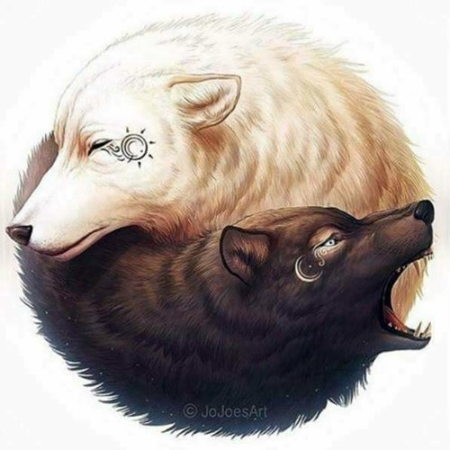 Fantom - The dance of the Wolf (150)