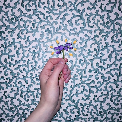 Lovesong (The Way) feat. Bluets