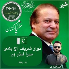 Jite Ga Sher PML - N Song 2017