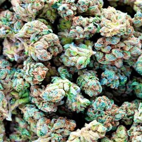 Incite B2b Kizzle - Monday Drumday ep 5