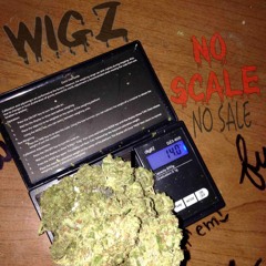WIGZ- No Scale,No Sale