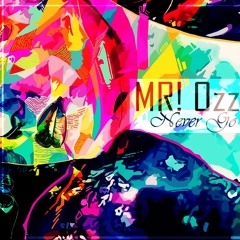 MR! Ozz - Never Go