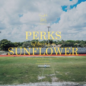 Soft Glas - Perks of Being a Sunflower