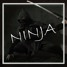 The story of the ninja