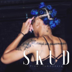 Skud (prod. Tummydang)