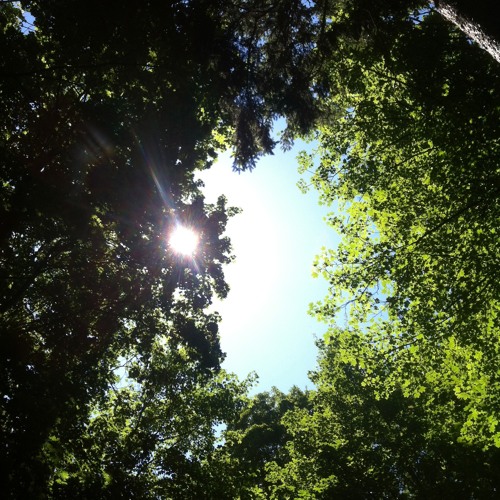 Katja Komorebi - Taste of At.Tension