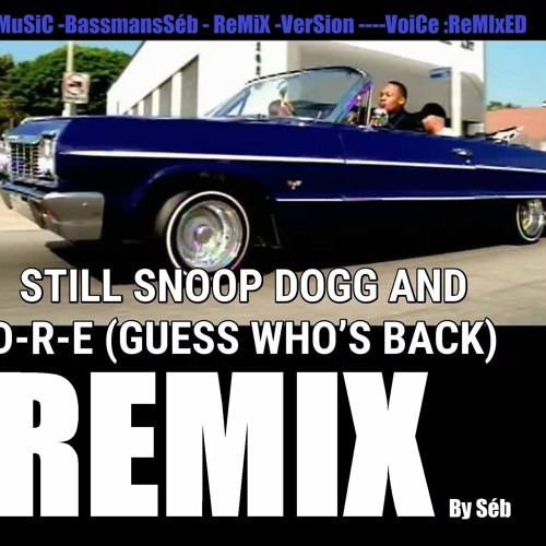 DR.DRE/SNOOP DOGG-Still Dre"(Bassmanséb Version) 09.09.2017