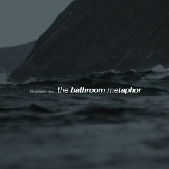 The Bathroom Metaphor