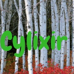 Cylixir - Birch