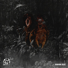 IN THE BLK 2.0