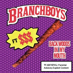 BACKWOODS IN MY MOUTH (FEAT. $$$)