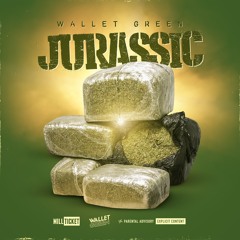 Wallet Green - Jurassic