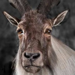 His Regret (His Theme in Minor)