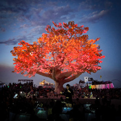 Mark Slee - Ténéré: Treescape [Burning Man 2017]