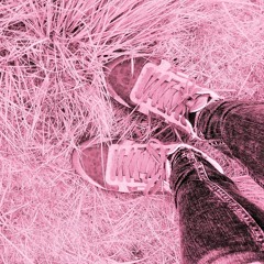 Playlist Valoushka 08/01/2017______2