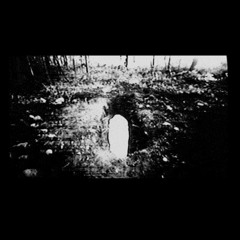 PARALYSIS (FEAT. HUMAN TARGET)