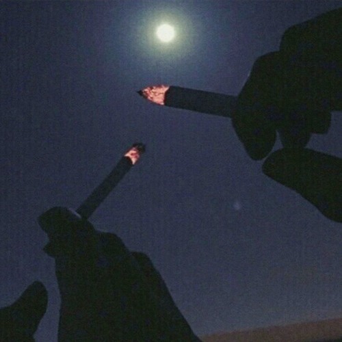 i'm not going anywhere