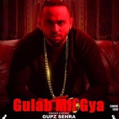 Gulab Mil Gya