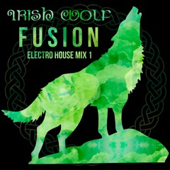 Electro House Music Mix 1