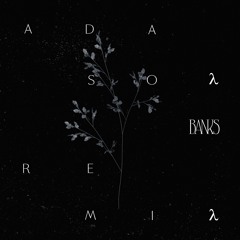 Banks. - Crowded Places (ADASON Remix)
