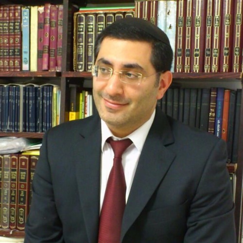 הרב דוד מנחם משלי פרק ב