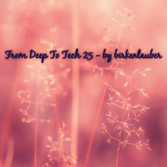 FROM DEEP TO TECH 25 - by birkenlauber