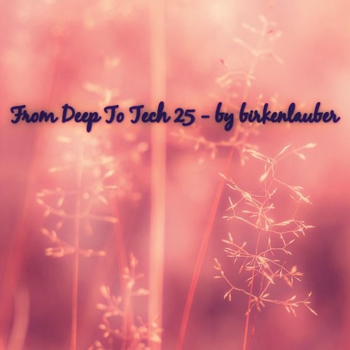 FROM DEEP TO TECH 25 - by birkenlauber