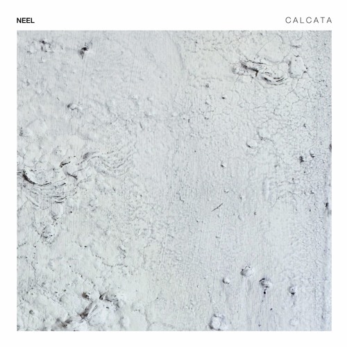 TOKEN76 - Neel - Calcata