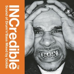 516 - INCredible 'Sound Of Drum'n'Bass' mixed By Goldie - Spectrum Disc (1999)