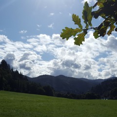 Grapefruit - Julia Engelmann (cover) Jorinde