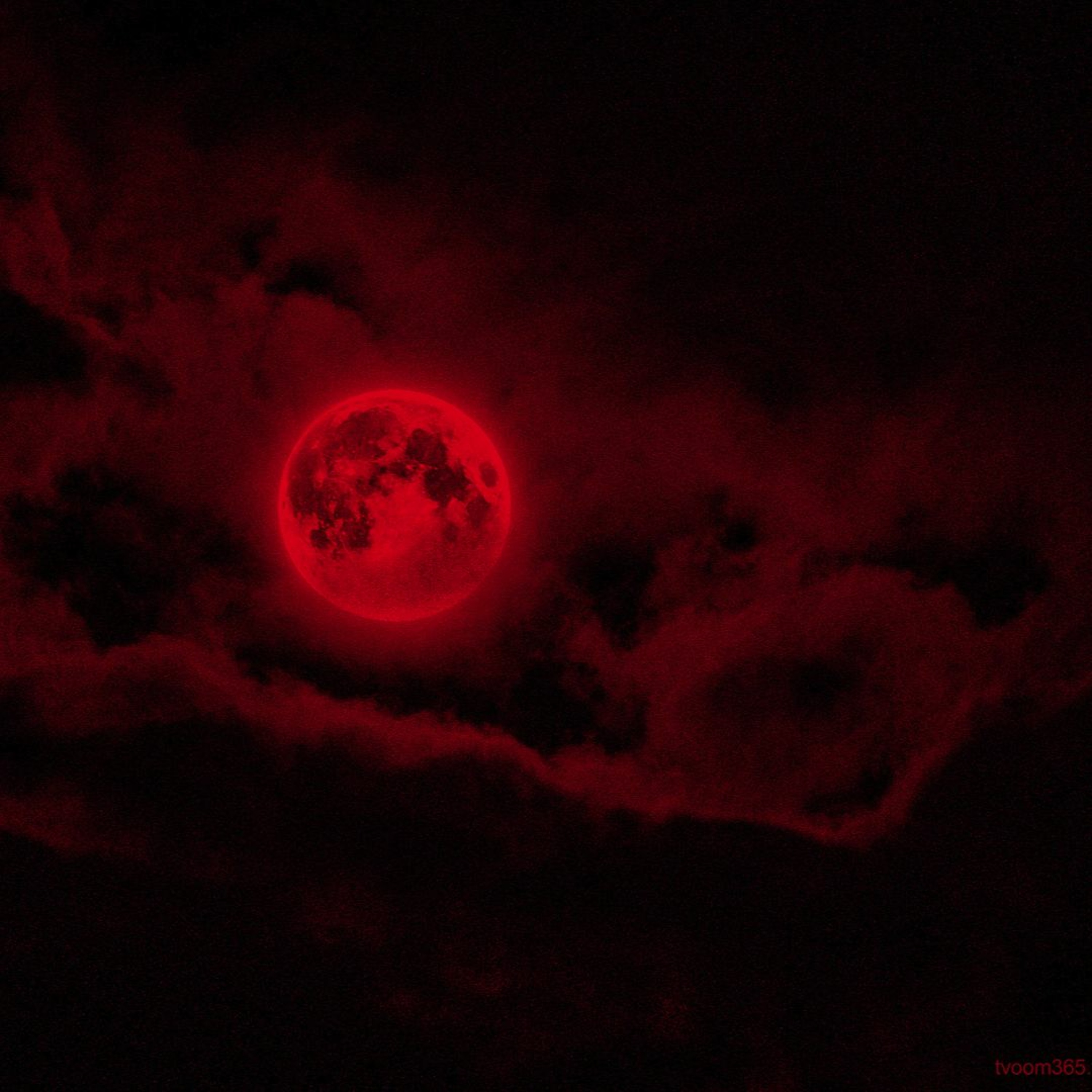 Into The Vortex