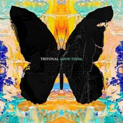 Trotonal - Good Thing ( Libertus Remix )