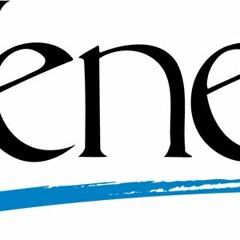 Leading in uncertain and complex projects