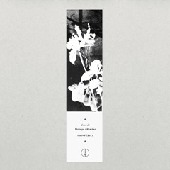 Preview Falling Ethics 013 / Strange Attractor EP by UMWELT