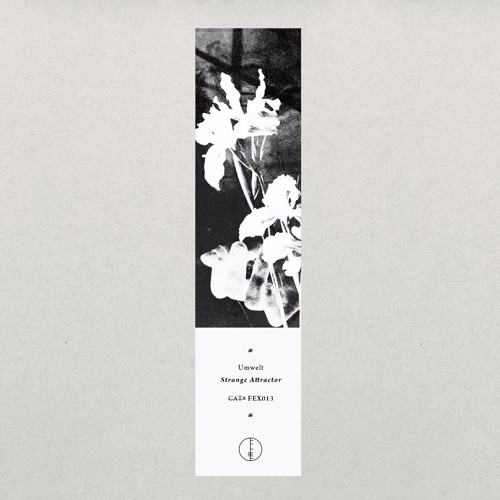 Preview Falling Ethics 013 / Strange Attractor EP by UMWELT