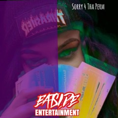 Sorry 4 Tha Perm