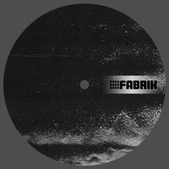 Non Reversible & Lost Algorithm - Particular [Fabrik005 | A1 | Premiere]