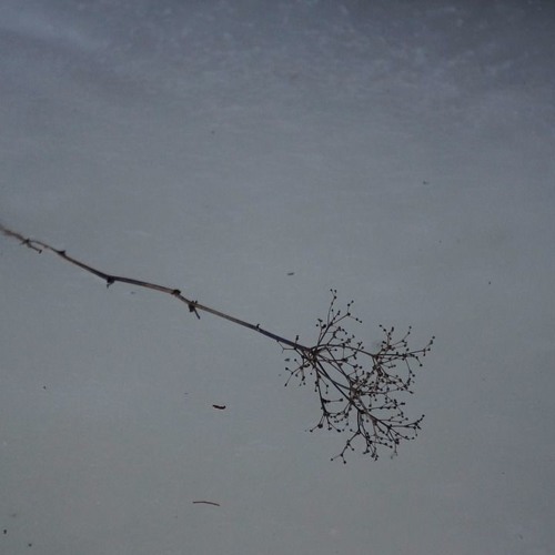 Journey of Attachment: Why Intellectualizing Change Doesn’t Work
